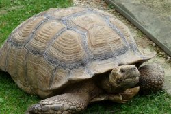 ZOO Liberec