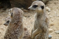 ZOO Liberec