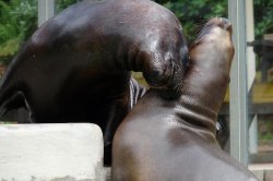 ZOO Liberec