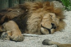 ZOO Liberec