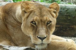 ZOO Liberec