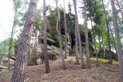 Pařez (zřícenina)