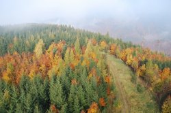 Rozhledna Sendraž na Vartě