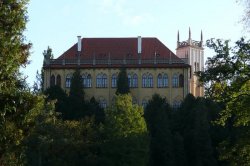 Stromovka Praha - královská obora