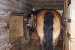 Rožnov pod Radhoštěm - skanzen