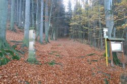 Malenisko - Marian pilgrimage site