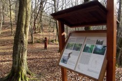 Jenčov (zřícenina)