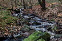 Jenčov (zřícenina)