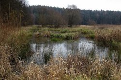 Drvotova Naturlehrpfad