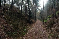 Drvotova Naturlehrpfad