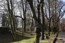 Smečno, město s dračí historií