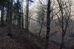 Smečno, město s dračí historií