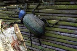 Pohádková země Pičín u Příbrami