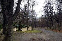 Kostel Narození sv. Jana Křtitele – Kladno Dubí