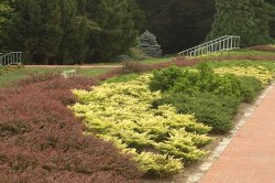 Botanická zahrada Olomouc