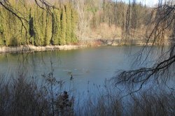 Arboretum Křtiny
