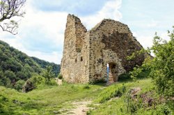 Týřov (zřícenina)