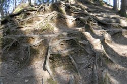 Rudické propadání a Kolíbky