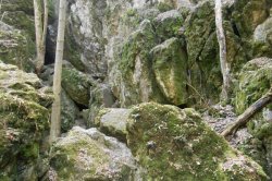 Rudické propadání a Kolíbky