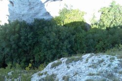 Die Ruinen der Burg Sirotčí Hrádek