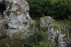 Die Ruinen der Burg Sirotčí Hrádek