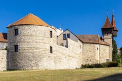 Louny